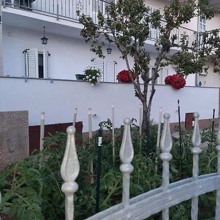 וודיצה Apartment Bracic מראה חיצוני תמונה