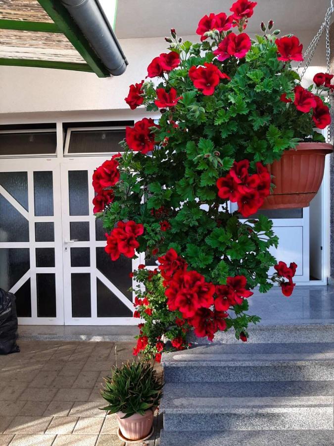 וודיצה Apartment Bracic מראה חיצוני תמונה